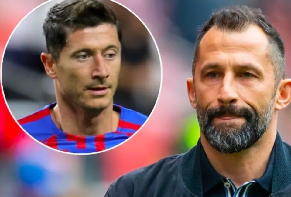 理领域展现 理领域展现